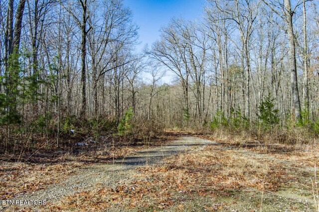 Pickett Park Hwy, Jamestown, TN 38556 - photo 6