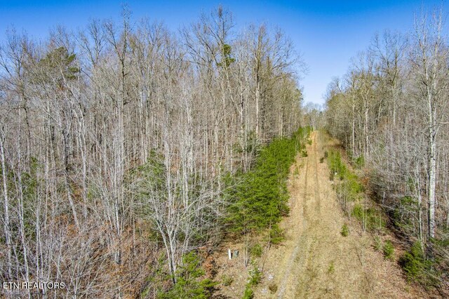 Pickett Park Hwy, Jamestown, TN 38556 - photo 7