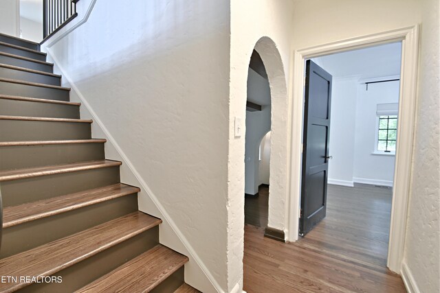 2221 Cherokee Blvd, Knoxville, TN 37919 - photo 29