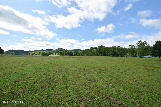 2221 Cherokee Blvd, Knoxville, TN 37919 - photo 58