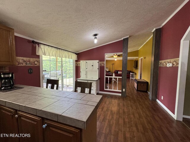 108 Hawn Dr, Crab Orchard, TN 37723 - kitchen featuring ornamental molding, dark wood-type flooring, tile counters, a ceiling fan, and a wood stove