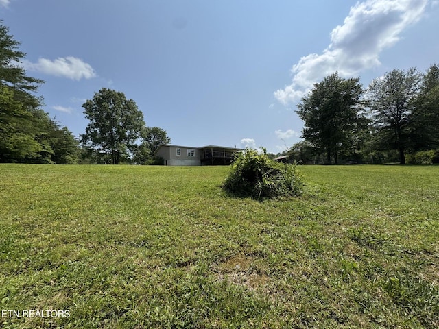 108 Hawn Dr, Crab Orchard, TN 37723 - view of grassy yard