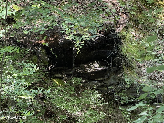 108 Hawn Dr, Crab Orchard, TN 37723 - view of local wilderness