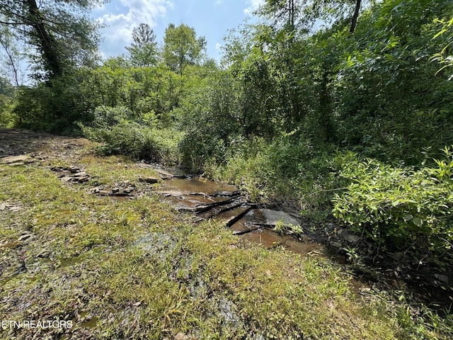108 Hawn Dr, Crab Orchard, TN 37723 - view of tree filled area