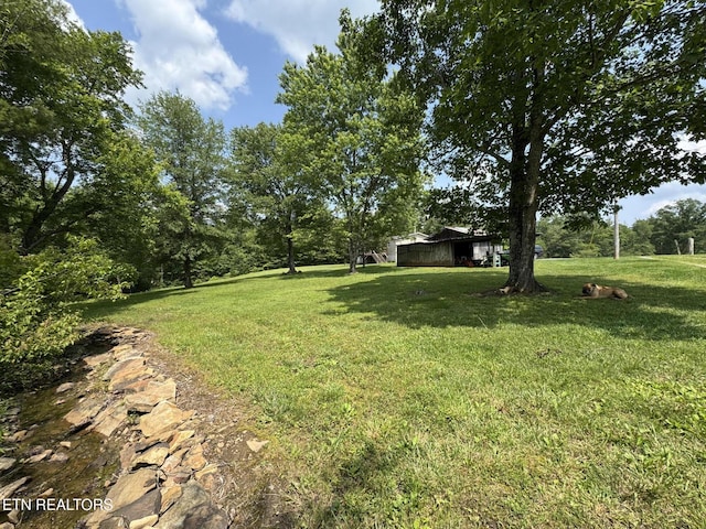 108 Hawn Dr, Crab Orchard, TN 37723 - view of green lawn