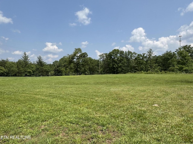 108 Hawn Dr, Crab Orchard, TN 37723 - view of green lawn with a forest view