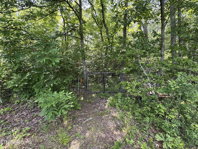 108 Hawn Dr, Crab Orchard, TN 37723 - view of nature