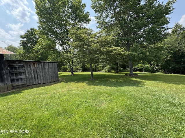 108 Hawn Dr, Crab Orchard, TN 37723 - view of green lawn