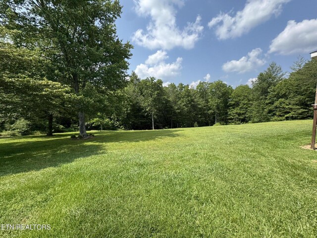 108 Hawn Dr, Crab Orchard, TN 37723 - view of grassy yard with a view of trees