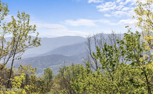 725 Sunshine Trl, Gatlinburg, TN 37738 - mountain view