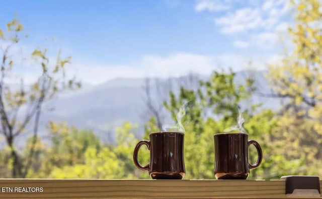 725 Sunshine Trl, Gatlinburg, TN 37738 - detailed view of mountains