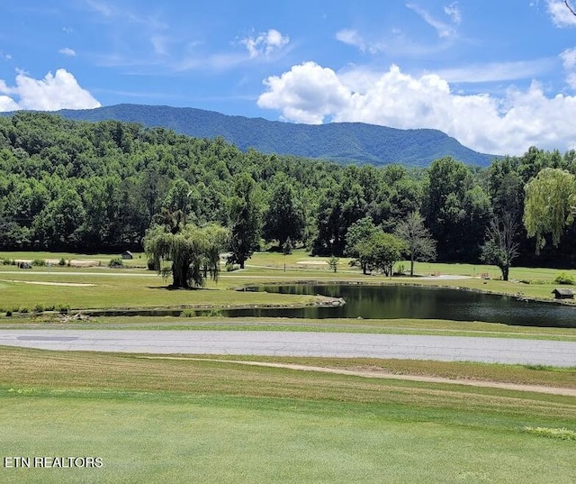 725 Sunshine Trl, Gatlinburg, TN 37738 - view of home's community featuring a water and mountain view and a yard