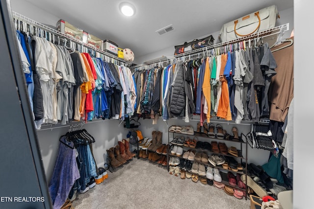 137 Storm Ln, Jacksboro, TN 37757 - spacious closet featuring carpet floors