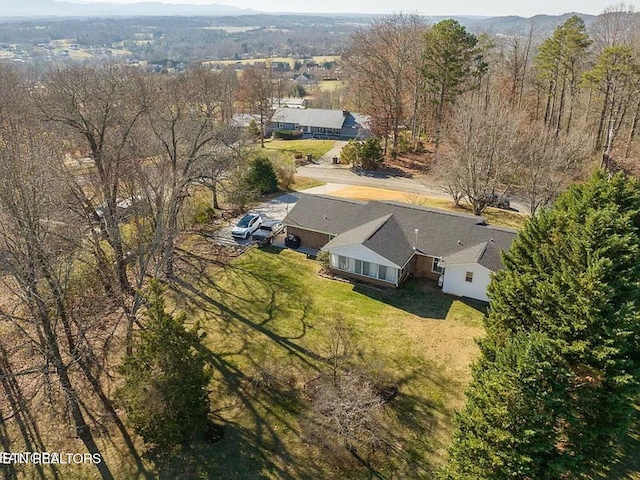 834 Hinkle Estates Dr, Seymour, TN 37865 - view from above of property