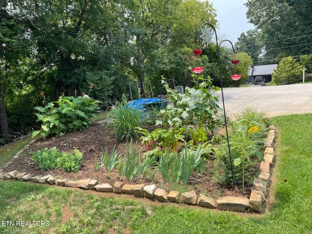 834 Hinkle Estates Dr, Seymour, TN 37865 - view of yard featuring a vegetable garden