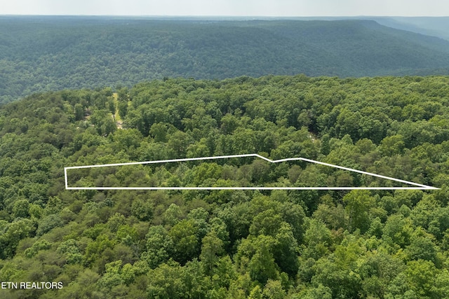 LOT146A Falls Ln, Spencer, TN 38585
