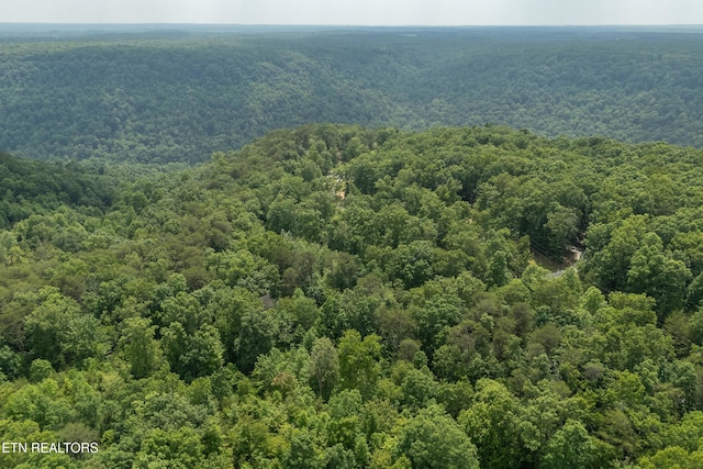 LOT146A Falls Ln, Spencer, TN 38585
