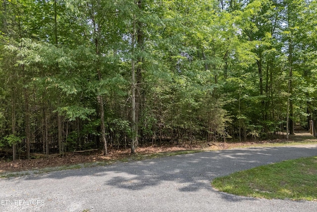LOT146A Falls Ln, Spencer, TN 38585