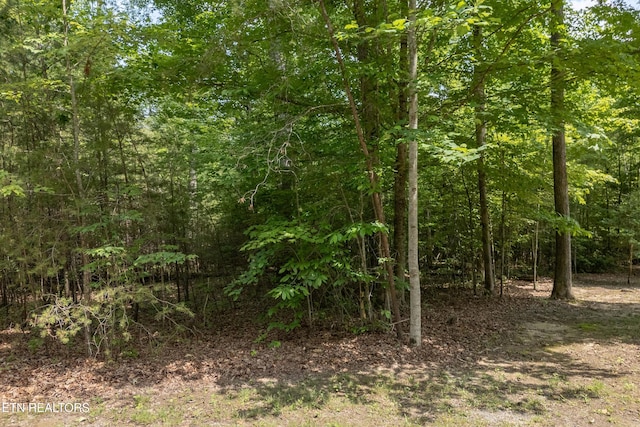 LOT146A Falls Ln, Spencer, TN 38585