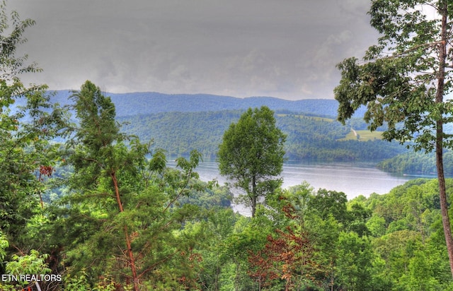 LOT440 Feldspar Rd, New Tazewell, TN 37825