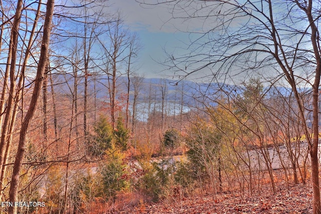 LOT440 Feldspar Rd, New Tazewell, TN 37825