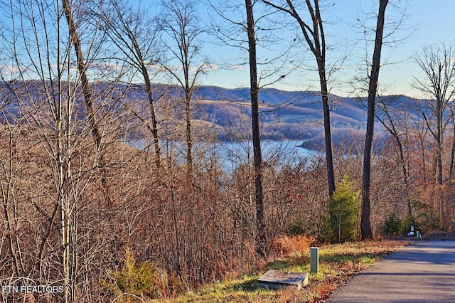 LOT440 Feldspar Rd, New Tazewell, TN 37825
