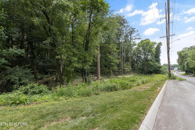 LOT1 NW Zoe Way, Knoxville, TN 37909 - photo 4