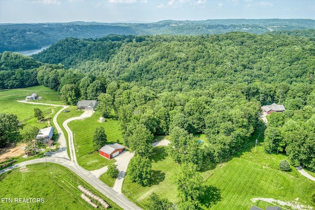 1250 Hill Cemetery Rd, Monroe, TN 38573 - photo 31