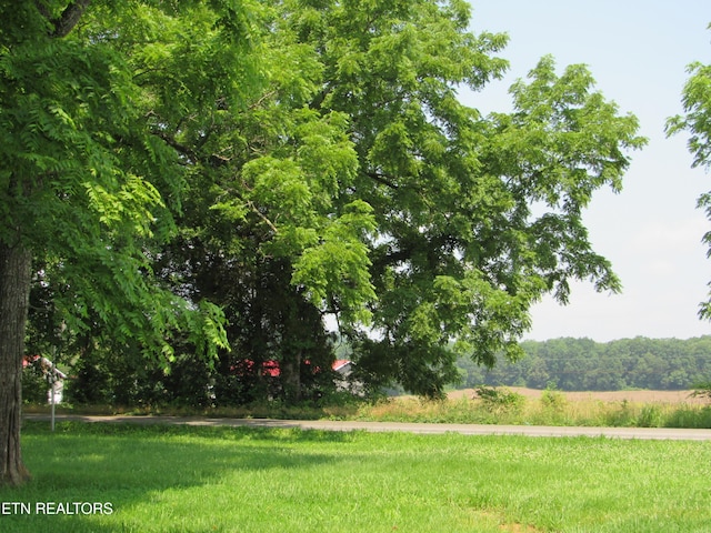 1780 Niles Ferry Rd, Madisonville, TN 37354 - photo 48