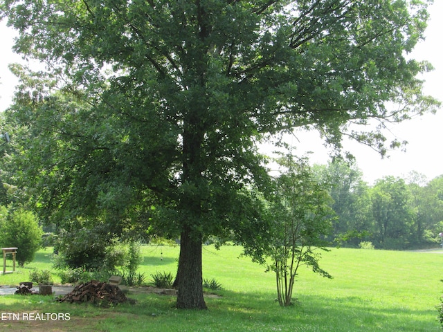 1780 Niles Ferry Rd, Madisonville, TN 37354 - photo 47