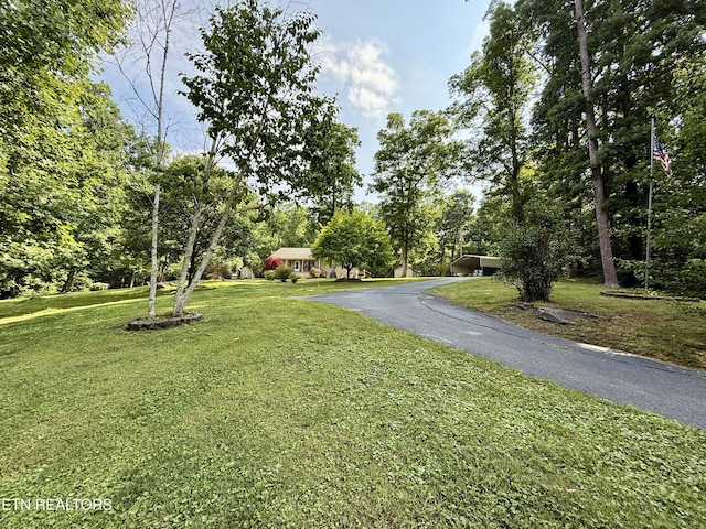 406 Asheville Hwy, Strawberry Plains, TN 37871 - view of asphalt driveway