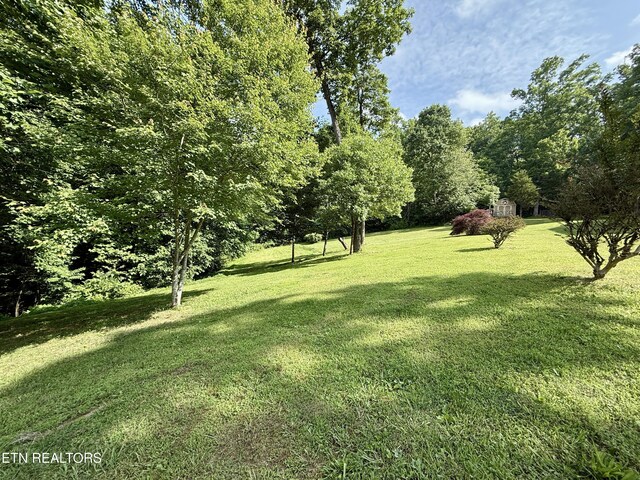 406 Asheville Hwy, Strawberry Plains, TN 37871 - view of green lawn