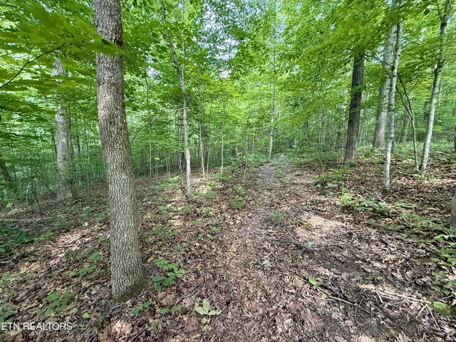 406 Asheville Hwy, Strawberry Plains, TN 37871 - view of wooded area