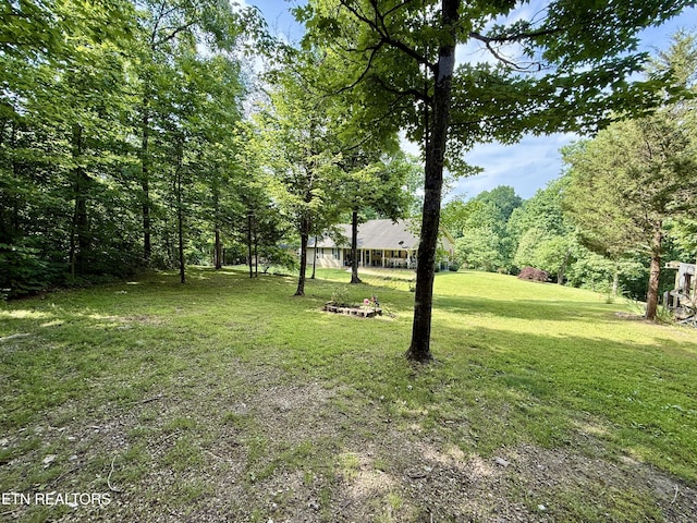 406 Asheville Hwy, Strawberry Plains, TN 37871 - view of grassy yard
