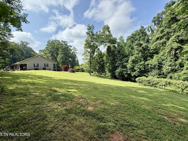 406 Asheville Hwy, Strawberry Plains, TN 37871 - view of grassy yard