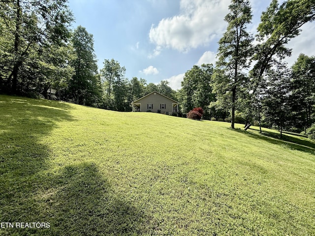 406 Asheville Hwy, Strawberry Plains, TN 37871 - view of grassy yard