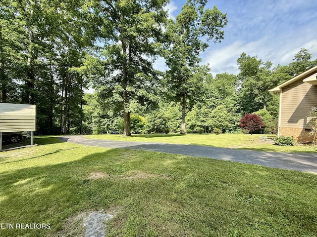 406 Asheville Hwy, Strawberry Plains, TN 37871 - view of green lawn with driveway