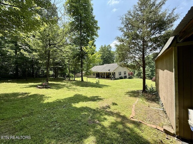 406 Asheville Hwy, Strawberry Plains, TN 37871 - view of green lawn
