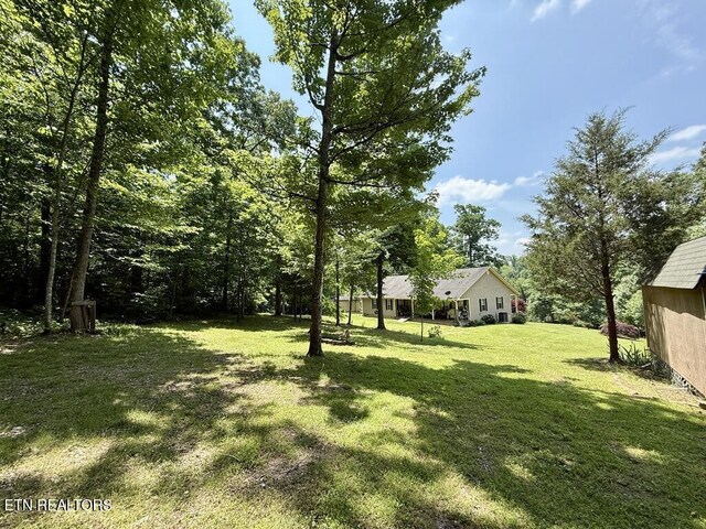 406 Asheville Hwy, Strawberry Plains, TN 37871 - view of grassy yard
