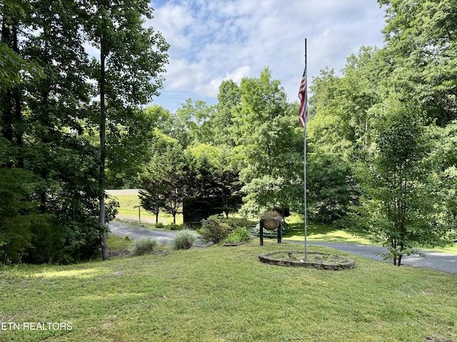 406 Asheville Hwy, Strawberry Plains, TN 37871 - view of green lawn