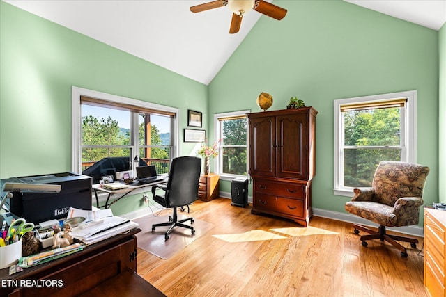 300 County Road 876, Englewood, TN 37329 - office featuring high vaulted ceiling, plenty of natural light, ceiling fan, light wood-style floors, and baseboards