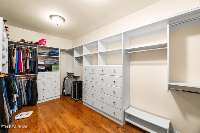 300 County Road 876, Englewood, TN 37329 - spacious closet featuring wood finished floors