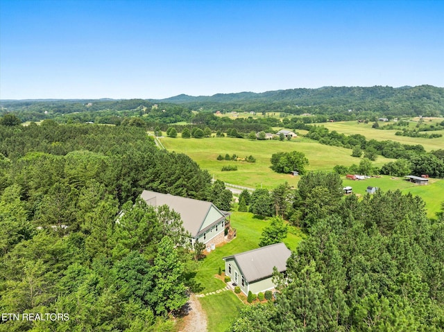 300 County Road 876, Englewood, TN 37329 - view from above of property with a forest