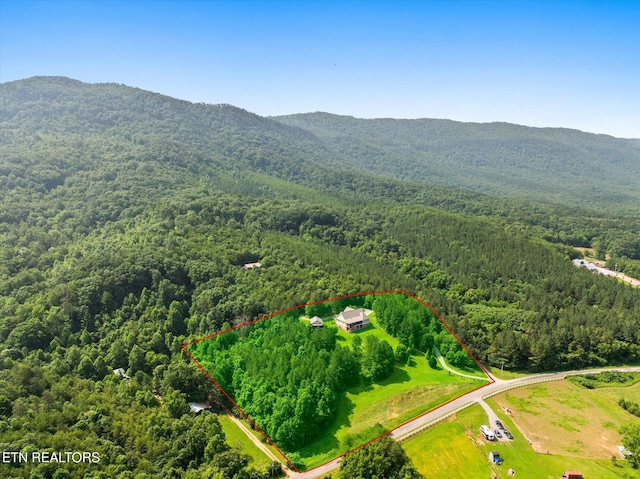 300 County Road 876, Englewood, TN 37329 - aerial view of property's location with a forest, property parcel outlined, and a mountain backdrop