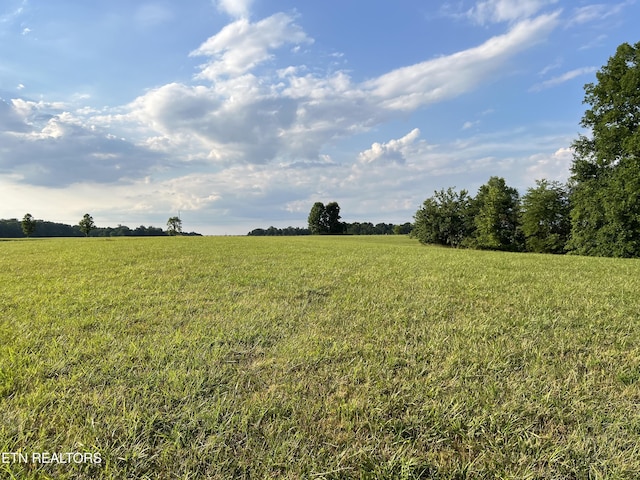 1759 Meister Hills Rd Unit 14.5, Acres, Deer Lodge, TN 37726 - photo 3
