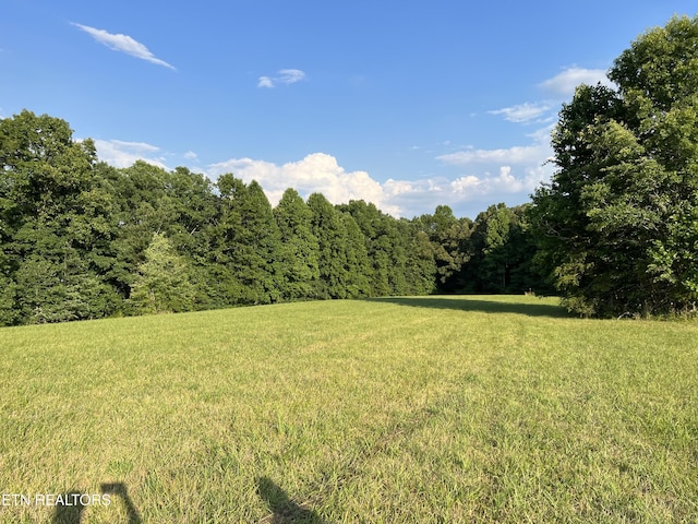 1759 Meister Hills Rd Unit 14.5, Acres, Deer Lodge, TN 37726 - photo 4