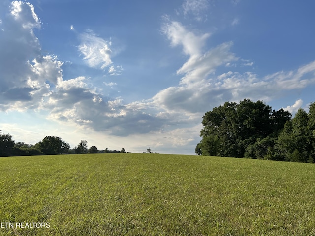 1759 Meister Hills Rd Unit 14.5, Acres, Deer Lodge, TN 37726 - photo 5