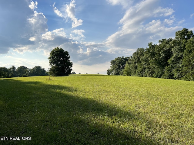1759 Meister Hills Rd Unit 14.5, Acres, Deer Lodge, TN 37726 - photo 6