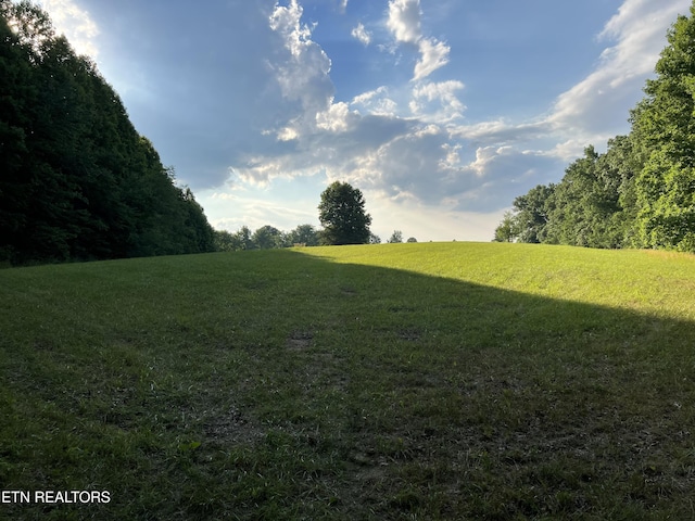 1759 Meister Hills Rd Unit 14.5, Acres, Deer Lodge, TN 37726 - photo 7