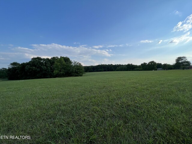 1759 Meister Hills Rd Unit 14.5, Acres, Deer Lodge, TN 37726 - photo 8